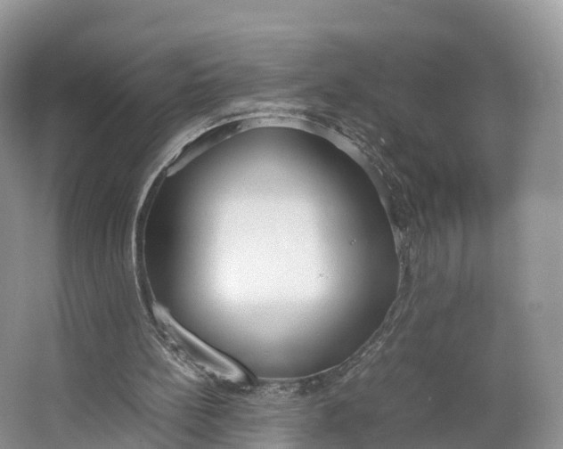 X0000064730148200602241732