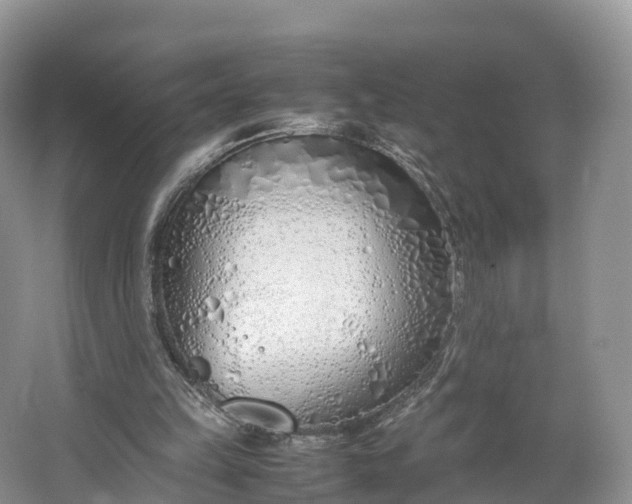 X0000064730149200602241732