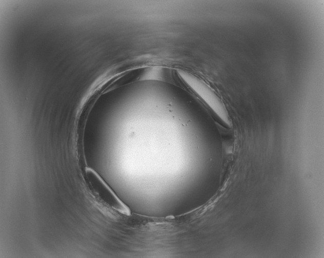 X0000064730150200602241732