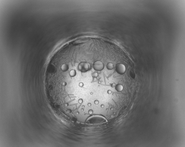 X0000064730151200602241732