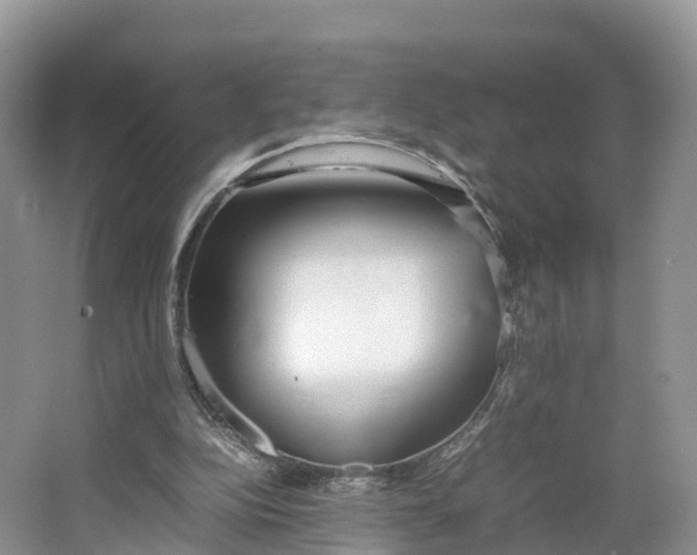 X0000064730152200602241732