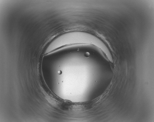 X0000064730154200602241732