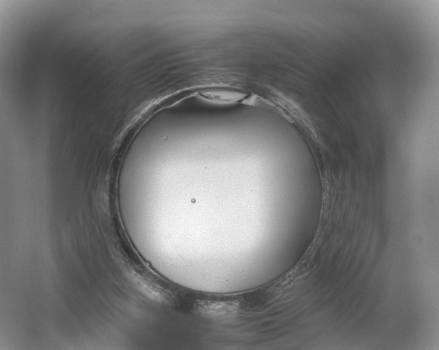 X0000064730155200602241732