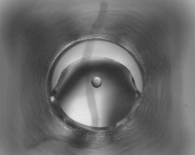 X0000064730156200602241732