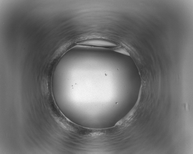 X0000064730158200602241732