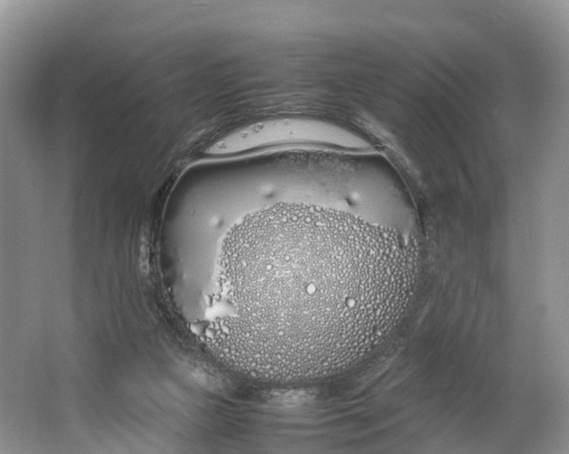 X0000064730161200602241732