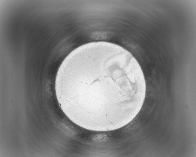 X0000064730162200602241732