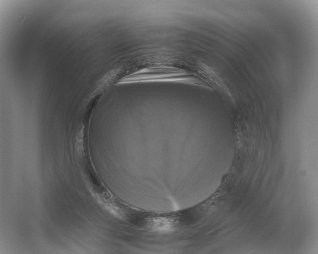 X0000064730163200602241732