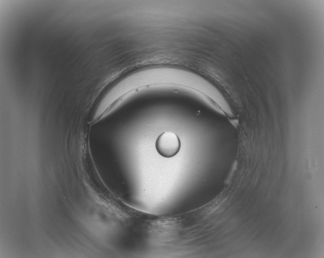 X0000064730164200602241732