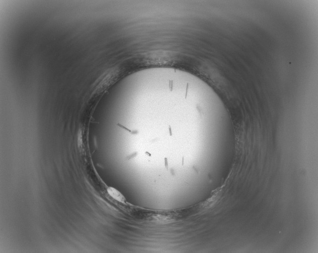 X0000064730166200602241732