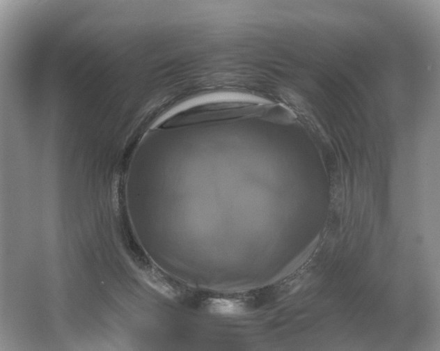 X0000064730167200602241732