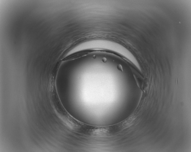 X0000064730168200602241732