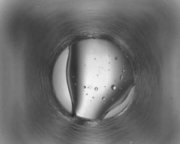 X0000064730170200602241732