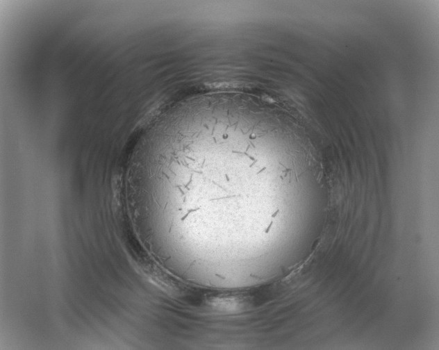 X0000064730171200602241732