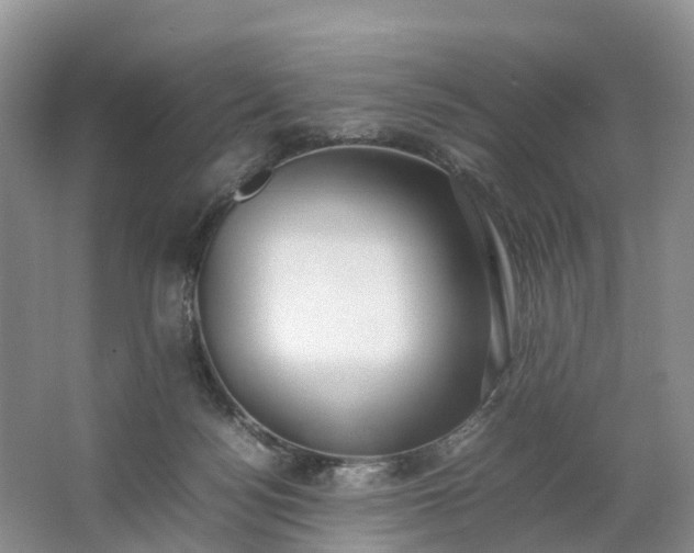 X0000064730172200602241732