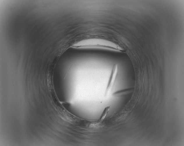 X0000064730173200602241732