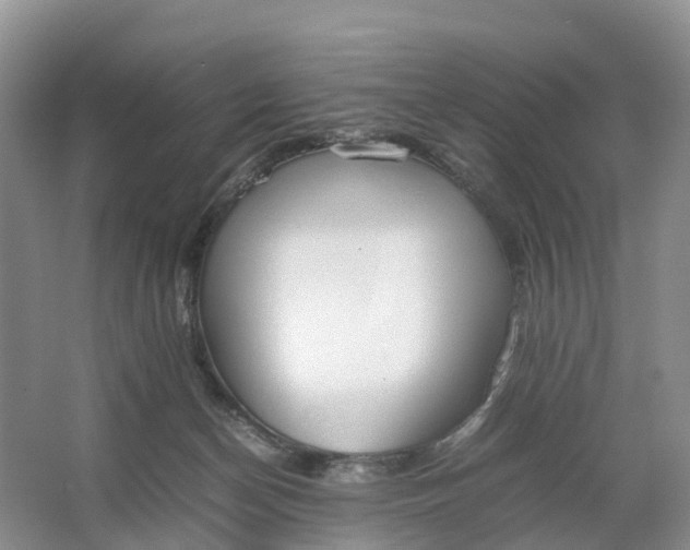 X0000064730174200602241732