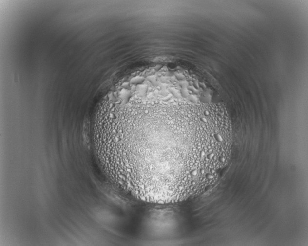 X0000064730175200602241732