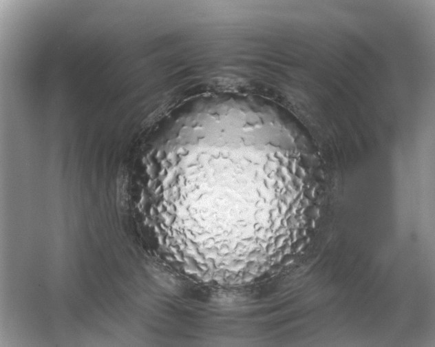 X0000064730177200602241732