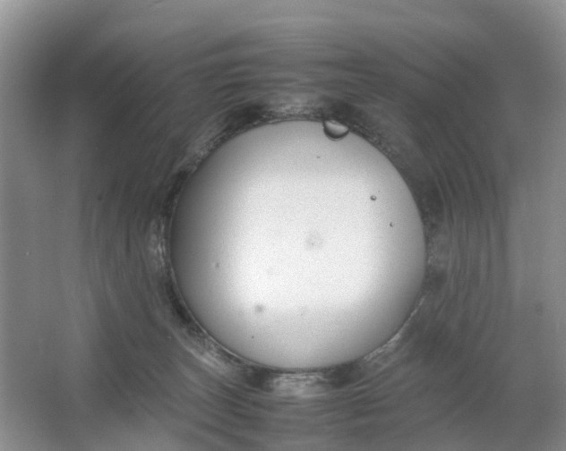 X0000064730179200602241732