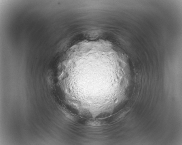 X0000064730181200602241732