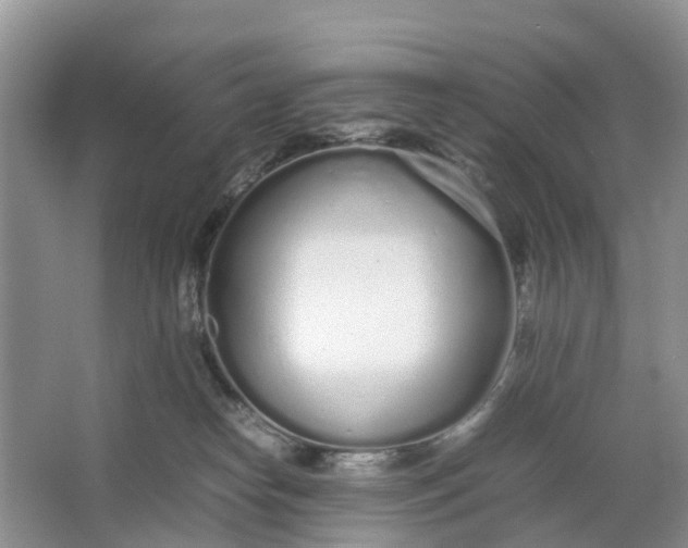 X0000064730182200602241732