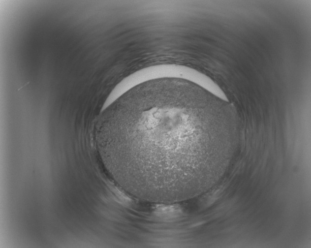 X0000064730185200602241733