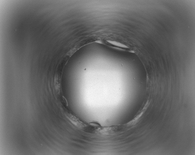 X0000064730186200602241733