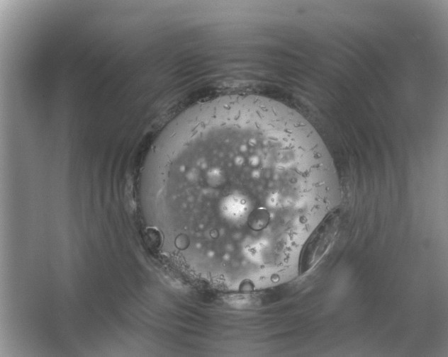 X0000064730187200602241733