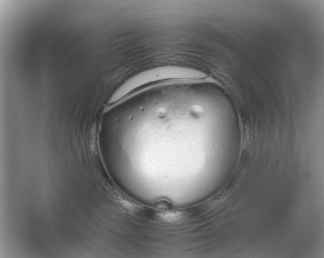 X0000064730189200602241733