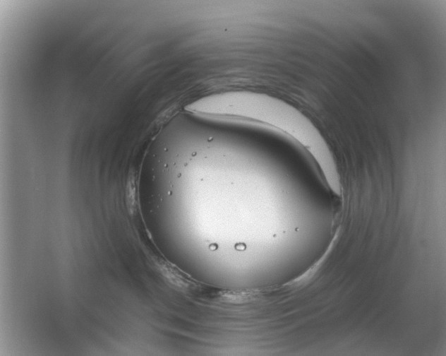 X0000064730190200602241733