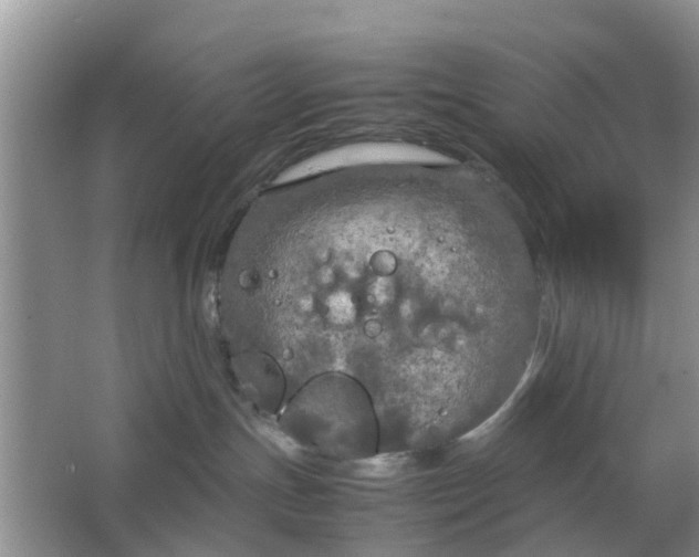 X0000064730191200602241733