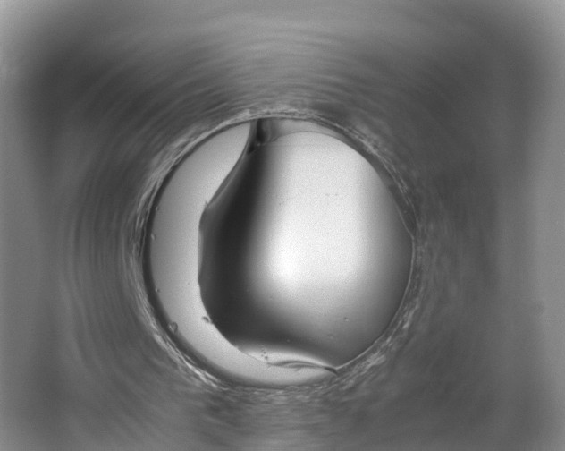 X0000064730193200602241731