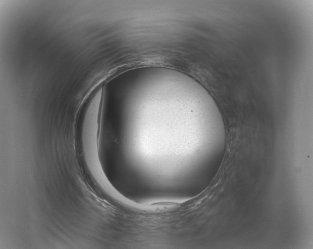 X0000064730194200602241731