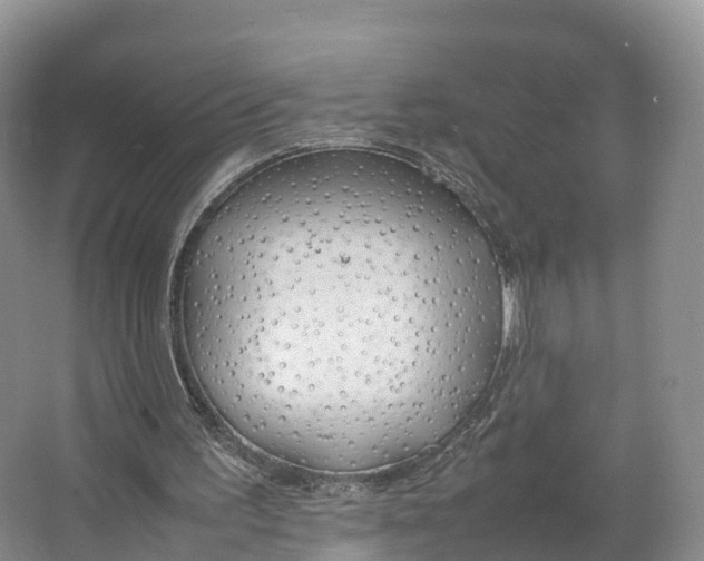 X0000064730195200602241731