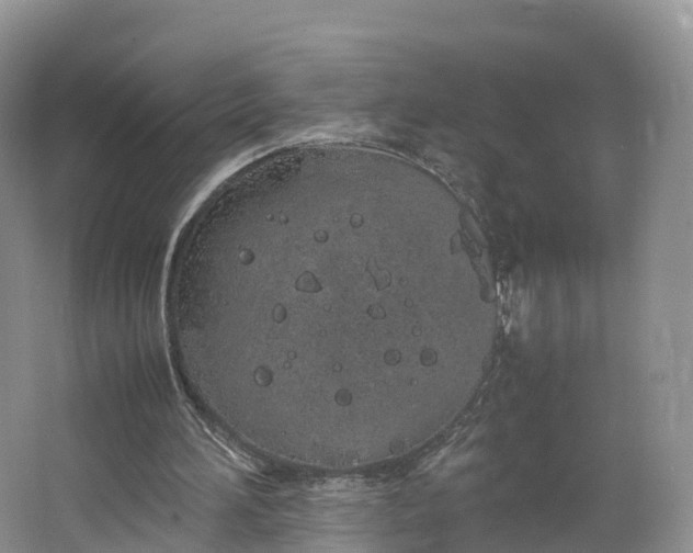 X0000064730196200602241731