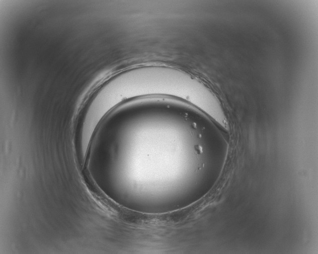 X0000064730197200602241731