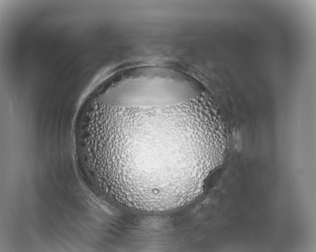 X0000064730198200602241731