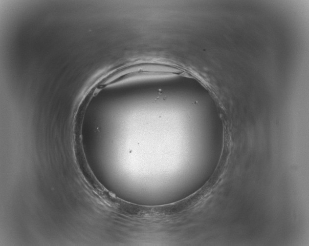 X0000064730199200602241731