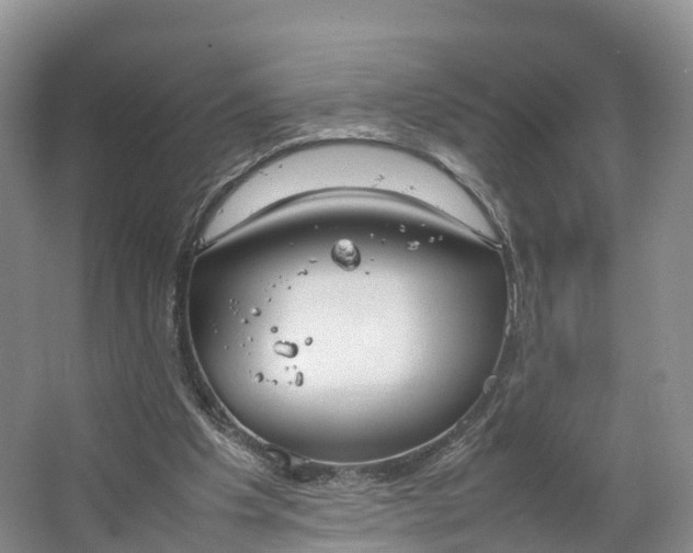 X0000064730201200602241731