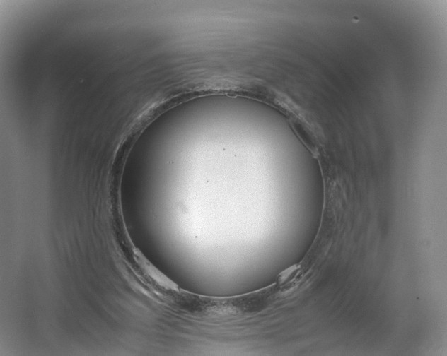 X0000064730203200602241731