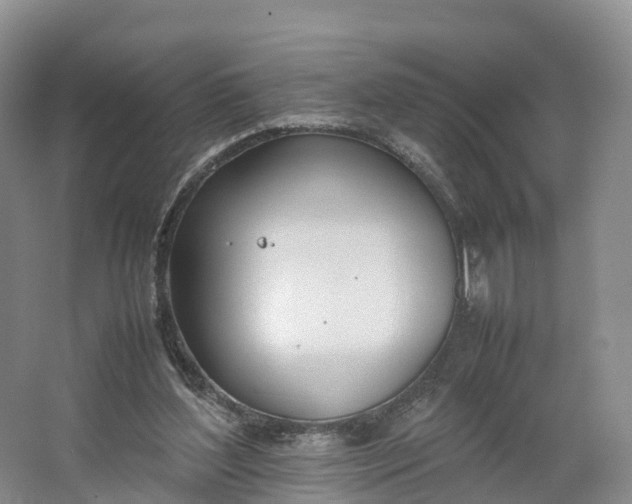 X0000064730204200602241731