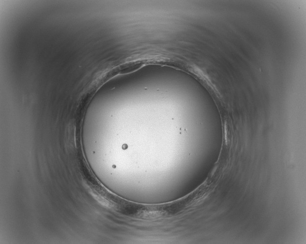 X0000064730205200602241731