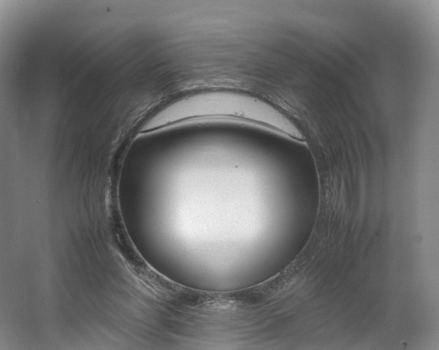 X0000064730206200602241731