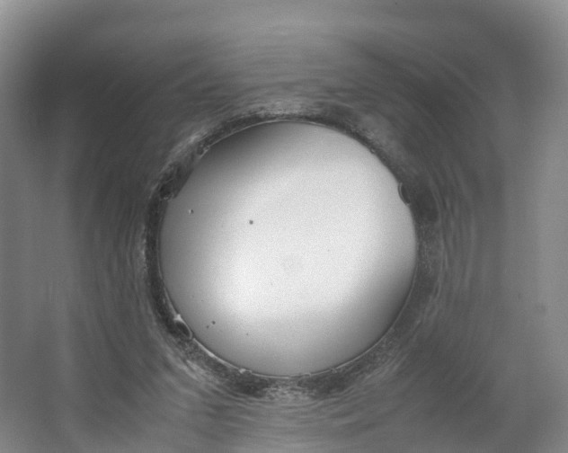 X0000064730207200602241731