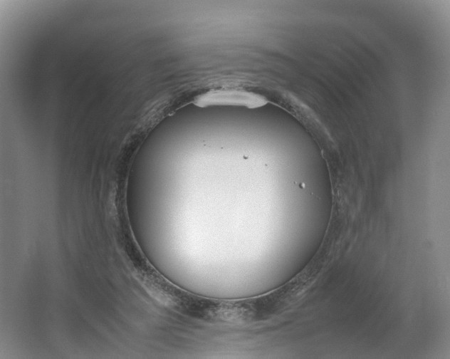 X0000064730209200602241731