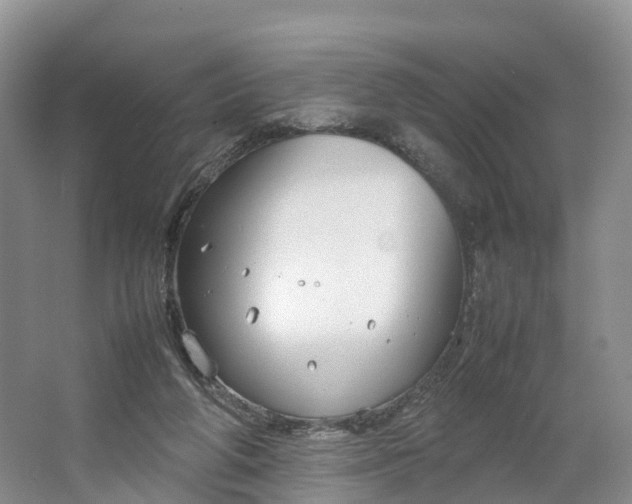 X0000064730210200602241731