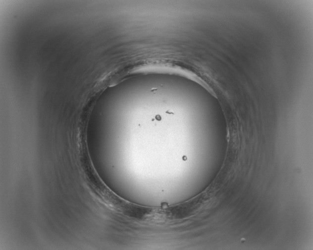 X0000064730211200602241731