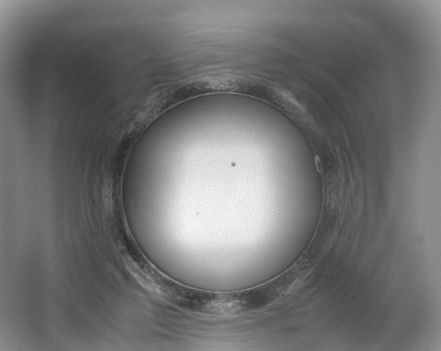 X0000064730213200602241731