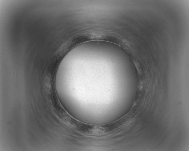 X0000064730215200602241731